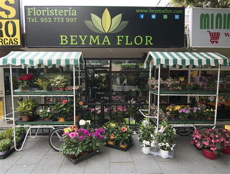 Floristería en Marbella Beyma Flor. Envío a domicilio en Marbella.